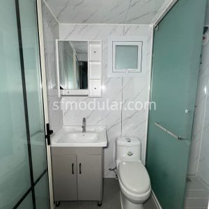Bathroom inside a backyard granny pod with toilet, basin, and wall panels